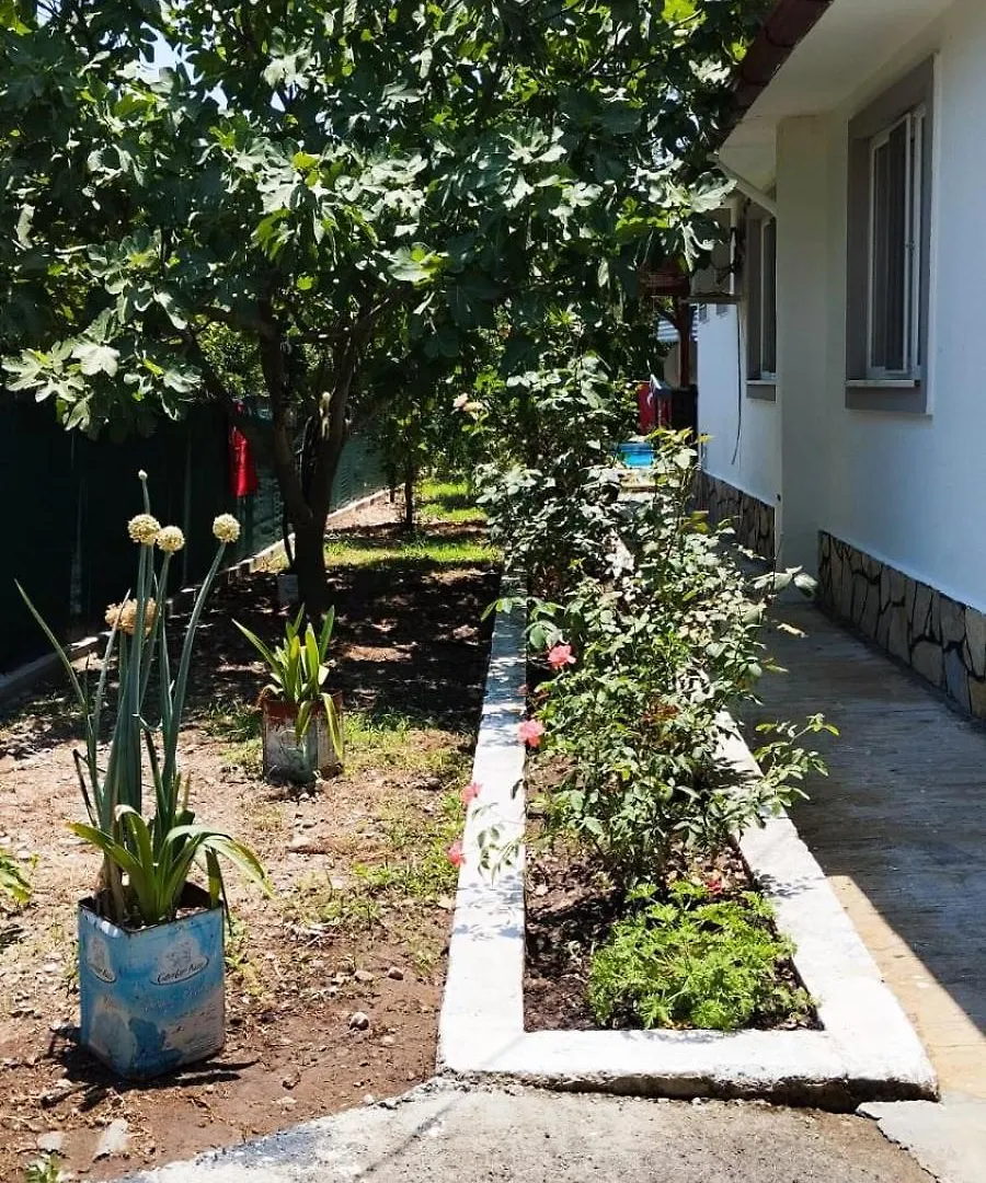 Case de vacanță Egedeki Eviniz Villa Koycegiz Turcia